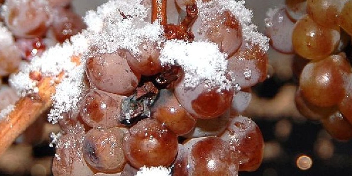 https://www.test.eska.it/image/cache/catalog/News/037_ice_wine-1200x600.jpg https://www.test.eska.it/image/cache/catalog/News/037_ice_wine-1200x600.jpg