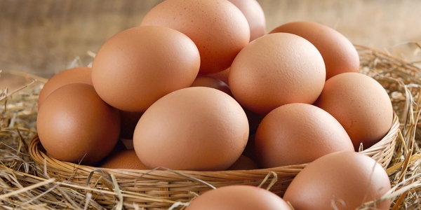 Parliamo di uova nel Panettone e Pandoro