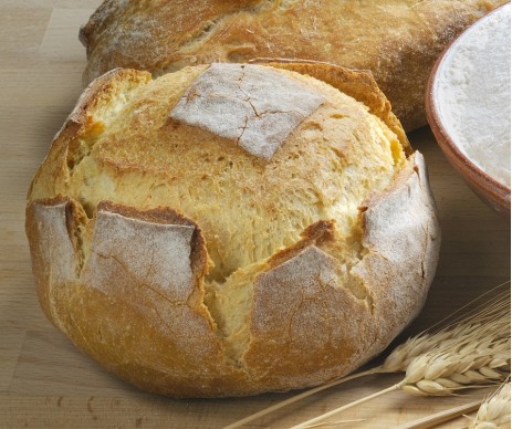 ACTIV 2000 ACTIV 2000