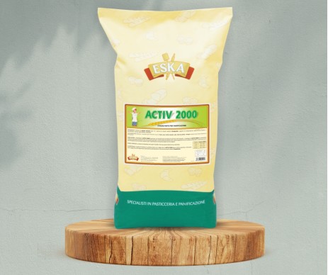 ACTIV 2000 ACTIV 2000