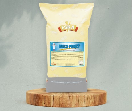 MULTI PROJET MULTI PROJET