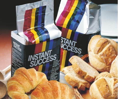 INSTANT SUCCESS INSTANT SUCCESS