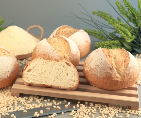 PADANO EVOLUTION PADANO EVOLUTION