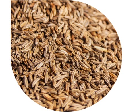 PAN DEK CUMINO PAN DEK CUMINO