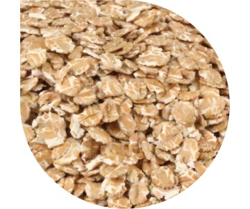 PAN DEK FRUMENTO PAN DEK FRUMENTO